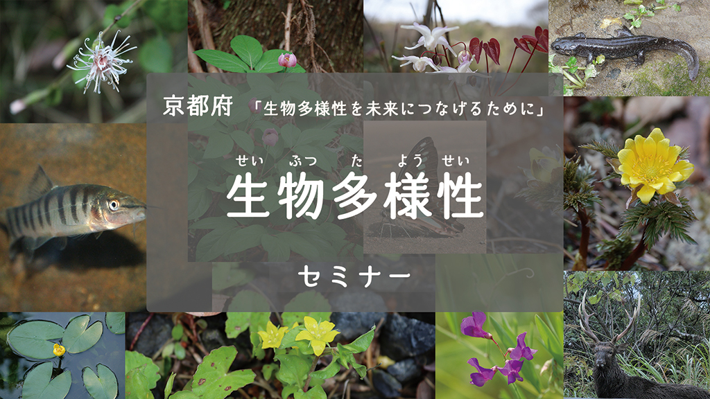 京都府「生物多様性を未来に繋げるために」生物多様性セミナー